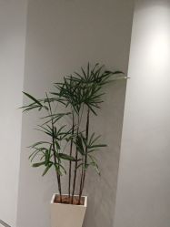 点击看大图 -3AM HAIR SALON烫发染发接发