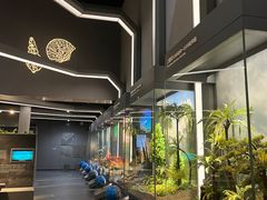 -浙江自然博物院(杭州馆)
