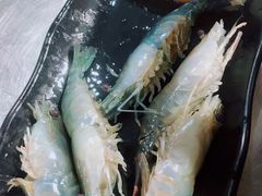 跳跳虾-水哥卜卜贝(东晓·胜汇里店)