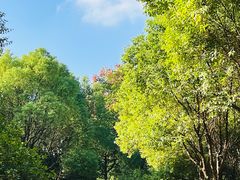 -滨湖塘西河公园