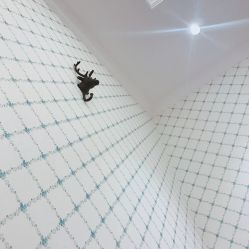 点击看大图 -上海星和医疗美容