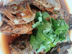 红烧太湖杂鱼-新木器时代餐厅(太湖新天地店)