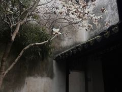 -苏州园林博物馆