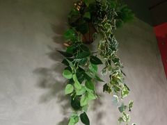 -云川台球(马甸店)