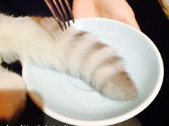 Mikaku-MIKAKU(万达广场上海宝山店)