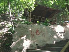 -天女山森林公园