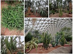 -上海辰山植物园