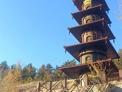 -凯鸽酒楼(大同振兴街店)