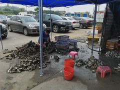 -蚝专家(北滘店)