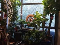 -宝翠花园餐厅(沙湖店)