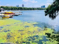 -长春市南湖公园