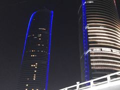 -演武大桥观景平台