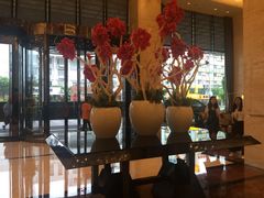 大堂-绿岛国际酒店-西餐厅