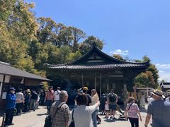 -豆政(金閣寺境内売店)
