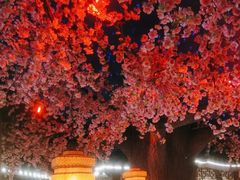 -荷塘秋月·本帮江浙菜(国权路店)