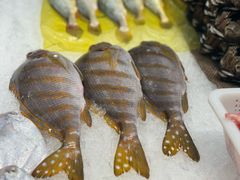 -渔傅·霞浦滩涂海鲜(建平店)