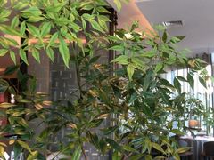 -扬州万怡酒店-中餐厅(文昌中路店)