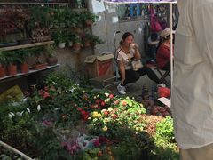 -本溪路花鸟市场(江浦路1709弄小区店)