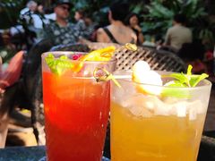 -Fern Forest Cafe