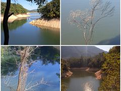 -广州市流溪河国家森林公园