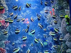 -海合安青岛极地海洋公园