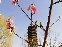 -西海子公园