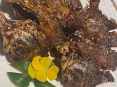 -食廬(浦东嘉里城店)