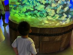 -华夏文旅海洋公园