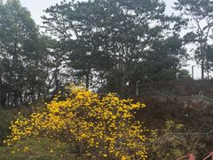-白石龙音乐公园