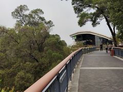 -金鸡山公园