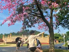 -东莞植物园
