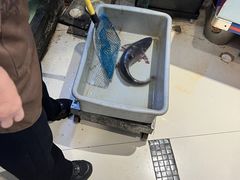 -楚鱼王·河鲜·湖北菜(华农店)