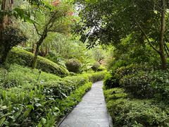 -腾冲洞山温泉村