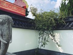 -龙华素斋(龙华路店)