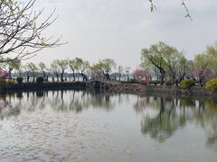 -无锡蠡湖国家湿地公园-蠡园