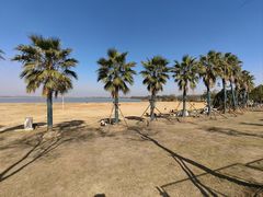 -瑶湖郊野森林公园