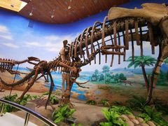 -延庆地质公园博物馆