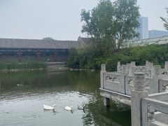 -有喜胶东小馆(太申祥和店)