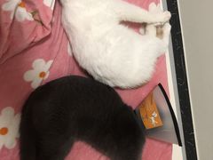 -汪喵宠物医院·骨科心脏影像·犬猫急重症ICU诊疗中心(成华分院)