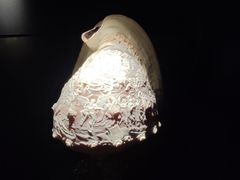 -深圳珠宝博物馆