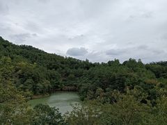 -广州白江湖森林公园