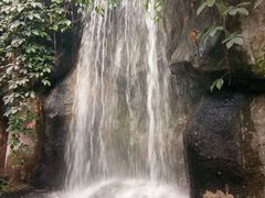 -南山植物园