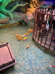 -酷嗒动物文化乐园(cutezoo西溪乐天城店)