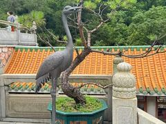 -南海湾森林生态园