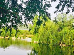 -山东大学(兴隆山校区)