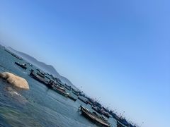 -海源公园