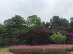 -保利石象湖景区