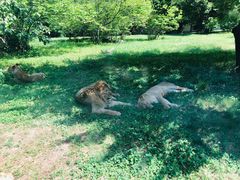 -西安秦岭野生动物园