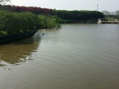 android_upload_pic-上海都市菜园