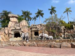 -美的鹭湖探索王国